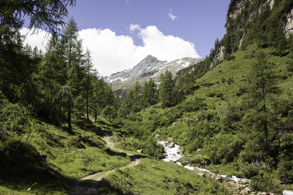 Obermuehle Διαμέρισμα Rauris Εξωτερικό φωτογραφία