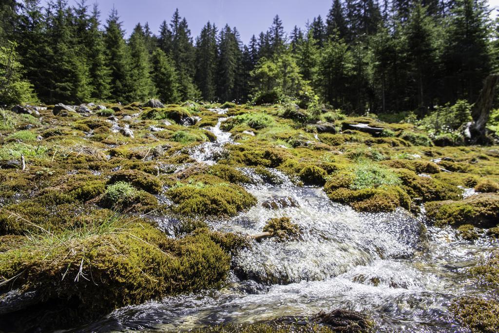 Obermuehle Διαμέρισμα Rauris Εξωτερικό φωτογραφία